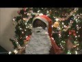 Why I Homeschool Project Santa Beard Professor Craft Age 6