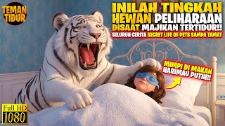 Download lagu MAJIKANYA TIDAK TAHU‼️KUCING KESAYANGANYA DIGANTI MENJADI HARIMAU‼️ALUR CERITA mp3