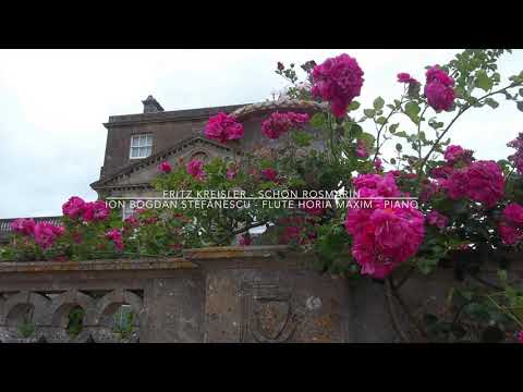 @ionbogdanstefanescu  Kreisler - Der schöne Rosmarin