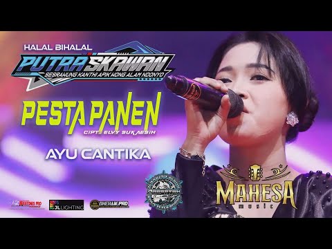 PESTA PANEN - AYU CANTIKA  MAHESA MUSIC   PUTRA SKAWAN WONOKERTO PEKALONGAN 2025