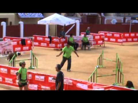 1ª y 2ª pruebas Agility Pataplán (resumen)