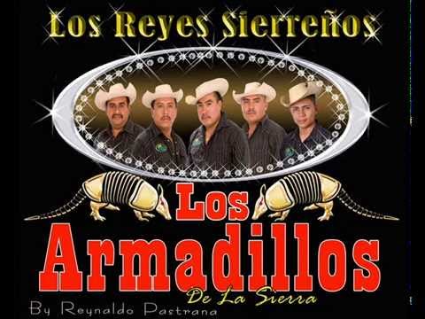 Los Armadillos De La Sierra 2014 - El Primer Lugar (AUDIO)