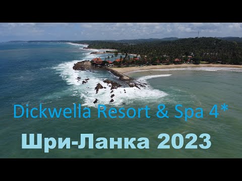 Шри Ланка в мае 2023 Dickwella