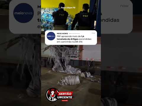 🚨 APREENSÃO RECORDE NO PIAUÍ! #notíciaurgente #brasil