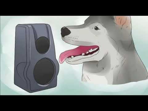 Best DNB Mix #2 - DarKStaR Presents - Billy BonkerZ Bass Bin