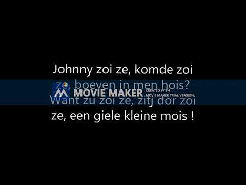 Johnny Marcoen - Johnny zoi ze