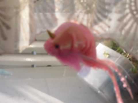 Roodje, blauwtje, geeltje...