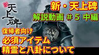 【新・天上碑】精霊と八卦について【解説動画＃５中編】
