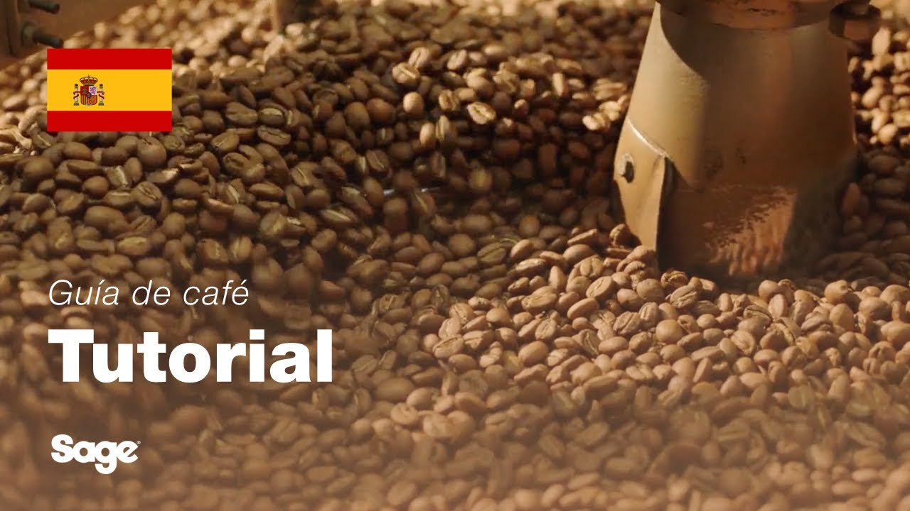 Tutorial de guía de café de Breville - Elegir los granos de café adecuados