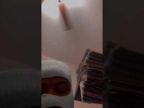 Marcree Montana x Holiday