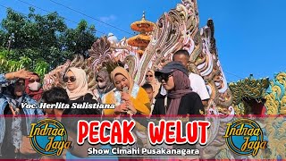 Download lagu PECAK WELUT VOC. HERLITA SULISTIANA || INDRAA JAYA || SHOW CIMAHI PUSAKANAGARA mp3