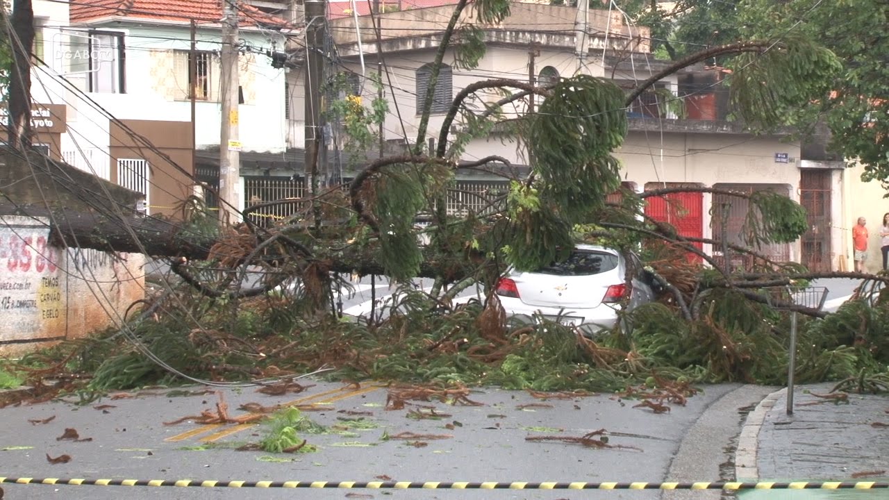 Chuvas causam estragos na região; veja vídeo