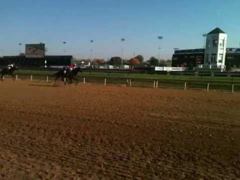 2011 Breeders' Cup Juvenile Sprint