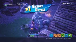 Fortnite   ひさしぶりのソロビクロイ