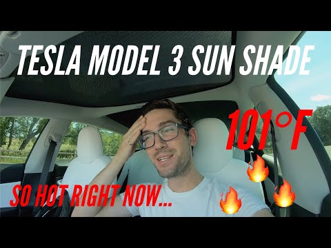 COOL IT! | Tesla Model 3 | Sun Shade Review