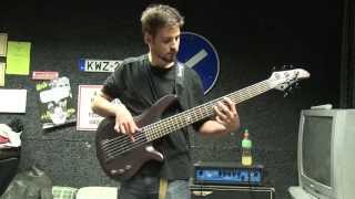 Lay Your Ghosts To Rest Bass Cover - Between The Buried And Me