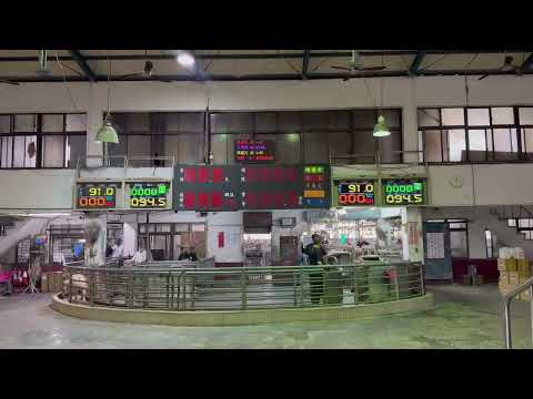 豬豬上車了　市府嚴密防疫守護市民餐桌安全