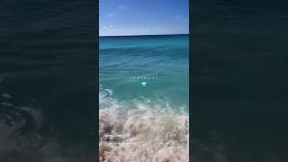 Have you been to Ocean Cay Msc private island in the Bahamas Thank you msc friend Magdalena Ratynski