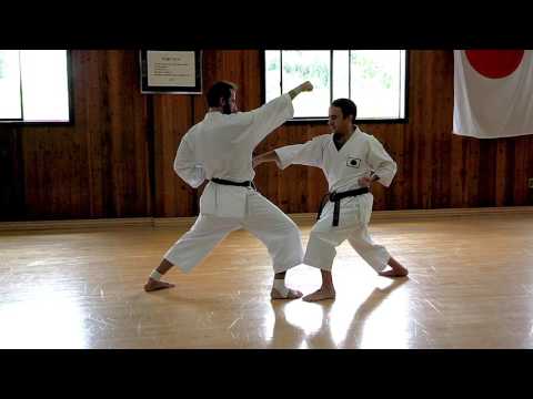 1-Step Sparring training