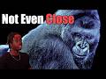 100 Men Vs 1 Gorilla Everything You Need To Know