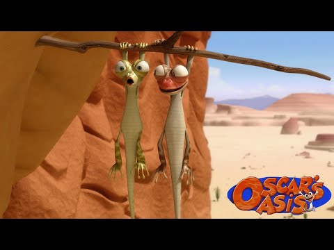 Oscar is Falling in Love | Oscar's Oasis Kids Cartoons