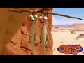 Oscar Is Falling In Love Oscar S Oasis Kids Cartoons