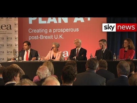 Brexiteers unveil alternative divorce plan
