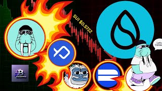 🔥 SUI Crash To $0.77 Next $0.5722 | 4 Undervalued Gems Before They Explode