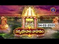 Rathasaptami Special Sarvaboopala Vahanam Tirumala 04 02 2025 SVBC TTD