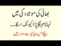 Bhai Apni Behan Ka Bohoot Khiyal Rakhta Tha Islamic Moral Stories In Urdu Hindi Sachi Kahaniya