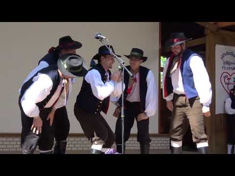 Soubor lid.písní a tanců DYLEŇ, Karlovy Vary - pásmo Houby / TP 2018 č.8