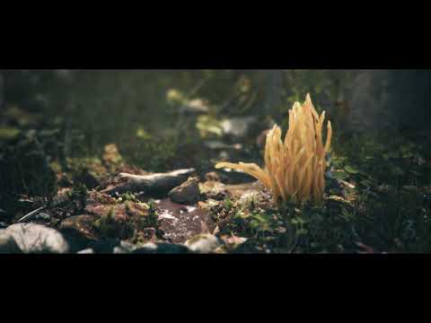 Portfolio 3