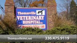 preview picture of video 'Thomasville Veterinary Hospital - Short | Thomasville, NC'