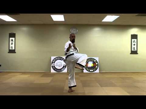 Taekwondo: Side Kick (Yop Chagi)