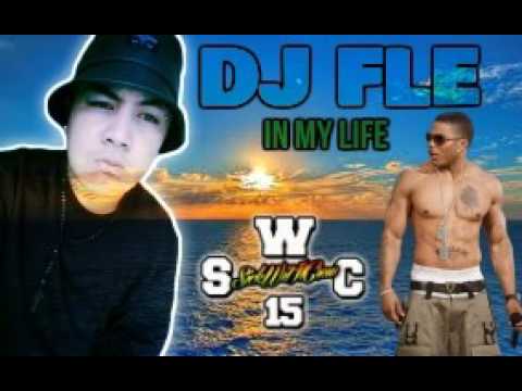 DJ FLE - NELLY IN MY LIFE JAMSESH