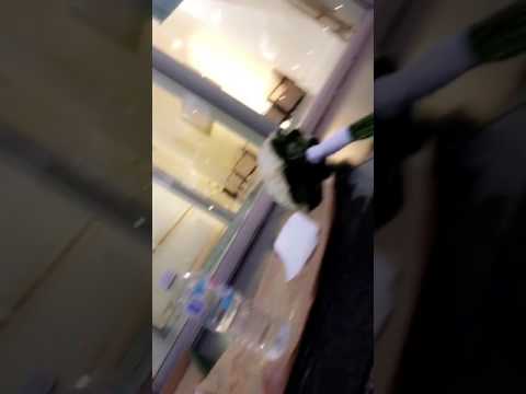 That one bridesmaid that takes it too far and orders pizza 🍕 in the middle of a photo shoot 😂