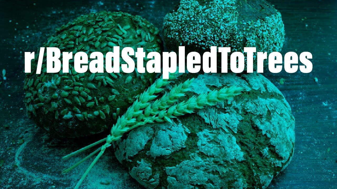 r/BreadStapledToTrees | Pictures of bread stapled to trees