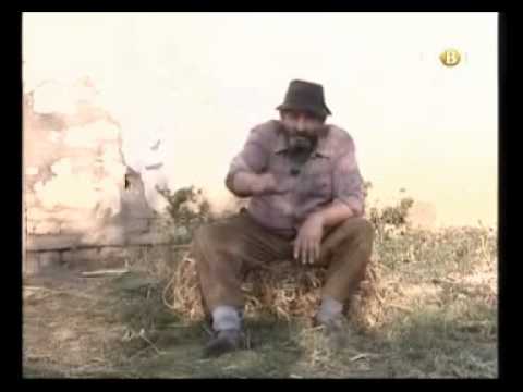 gojko todorovic trece koleno