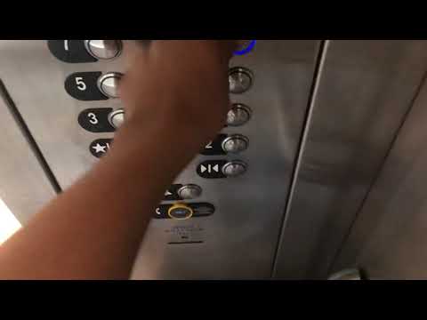 ThyssenKrupp Traction Elevators @ Hyatt Regency Greenville, SC