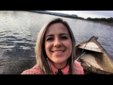 STÁCIO LEE - A PSICÓLOGA / AUTOR - STÁCIO LEE