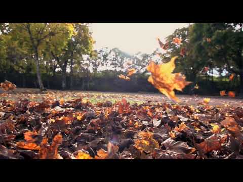 IZY  _  SIMS FT JOHANE FT EL BOY ‑ COVER By AAFLY(An Angel FLY)