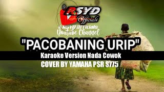 Download lagu PACOBANING URIP KARAOKE DANGDUT VERSION mp3