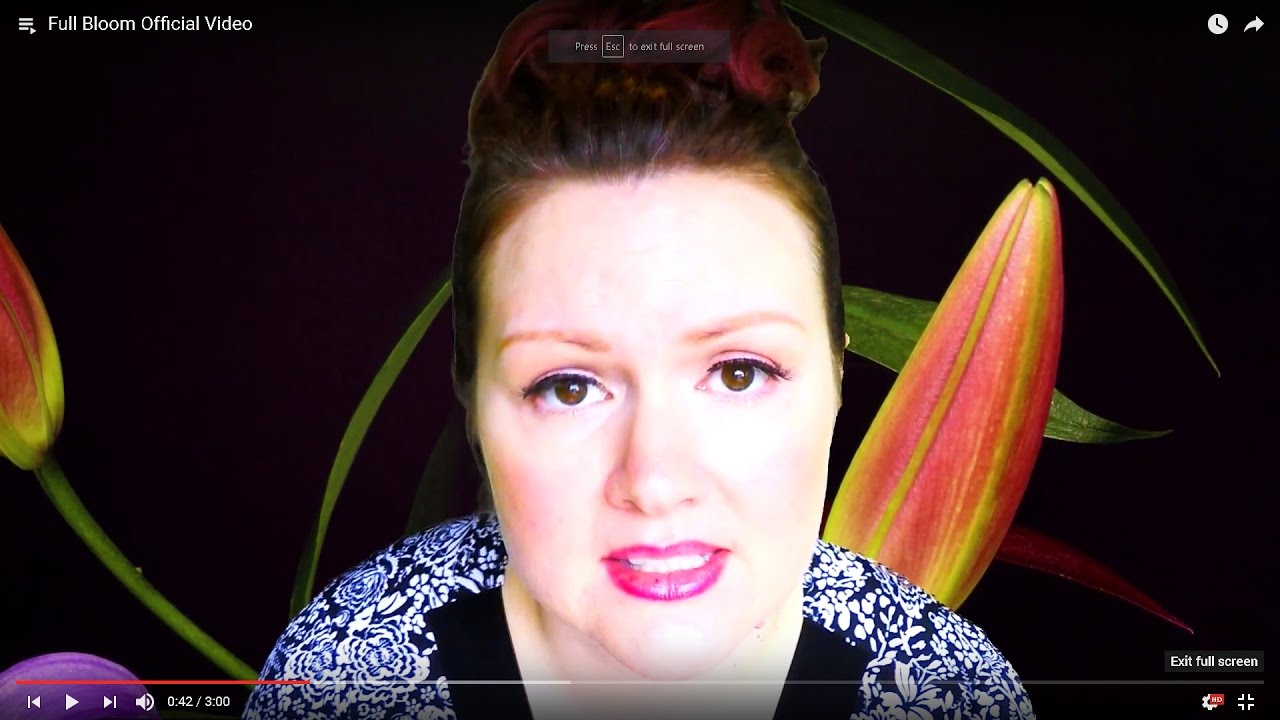 Promotional video thumbnail 2 for The Amber Snider Band