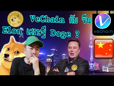 coin masterโปร