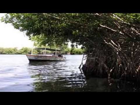 Conjunto Guaiquerí Chacalera