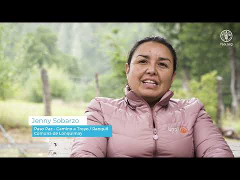 Veranadas: Territorio Cordillera Pehuenche Comuna de Lonquimay