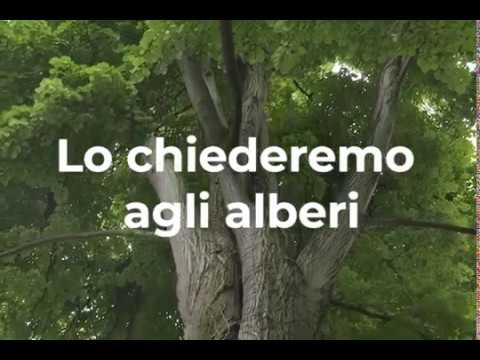Lo chiederemo agli alberi