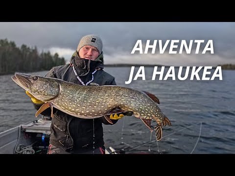 ETSITÄÄN AHVENPAIKKOJA JA KALASTETAAN OHESSA HAUKIA | HEITELLÄÄN JA UISTELLAAN | BENSA LOPPU