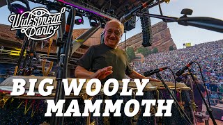 Big Wooly Mammoth (Live at Red Rocks)