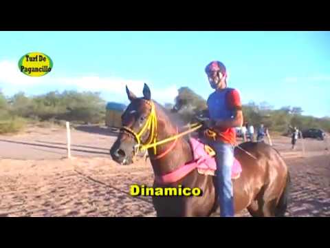 Dinamico. Hip. El Fortin - Vinchina 07.01.2027